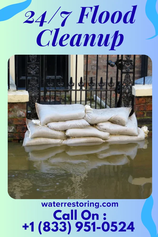 24/7 Flood Cleanup in Castroville, TX