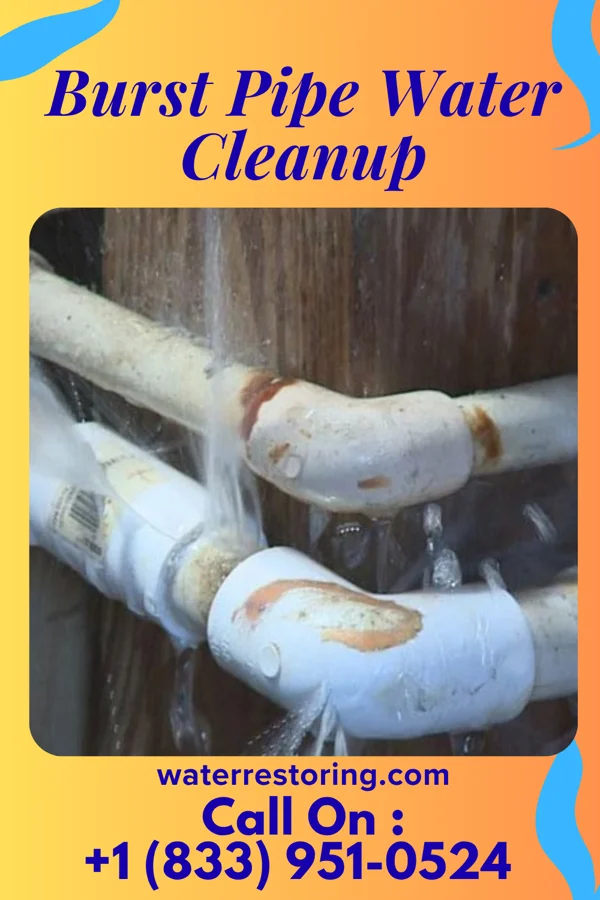 Burst Pipe Water Cleanup in Castroville, TX