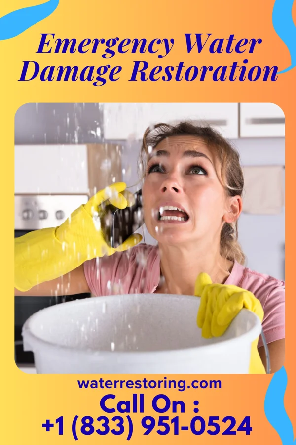 Emergency Water Damage Restoration in Castroville, TX